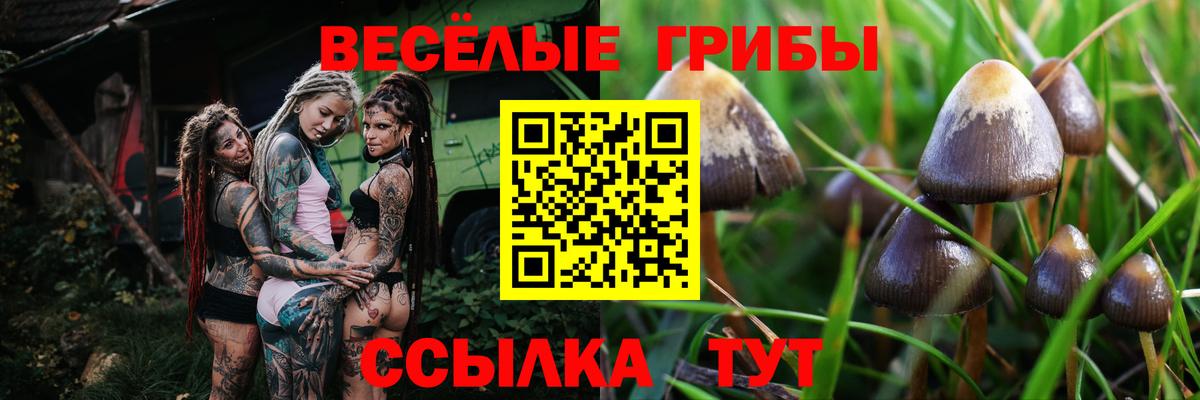 Псилоцибиновые грибы прущие грибы Лобня